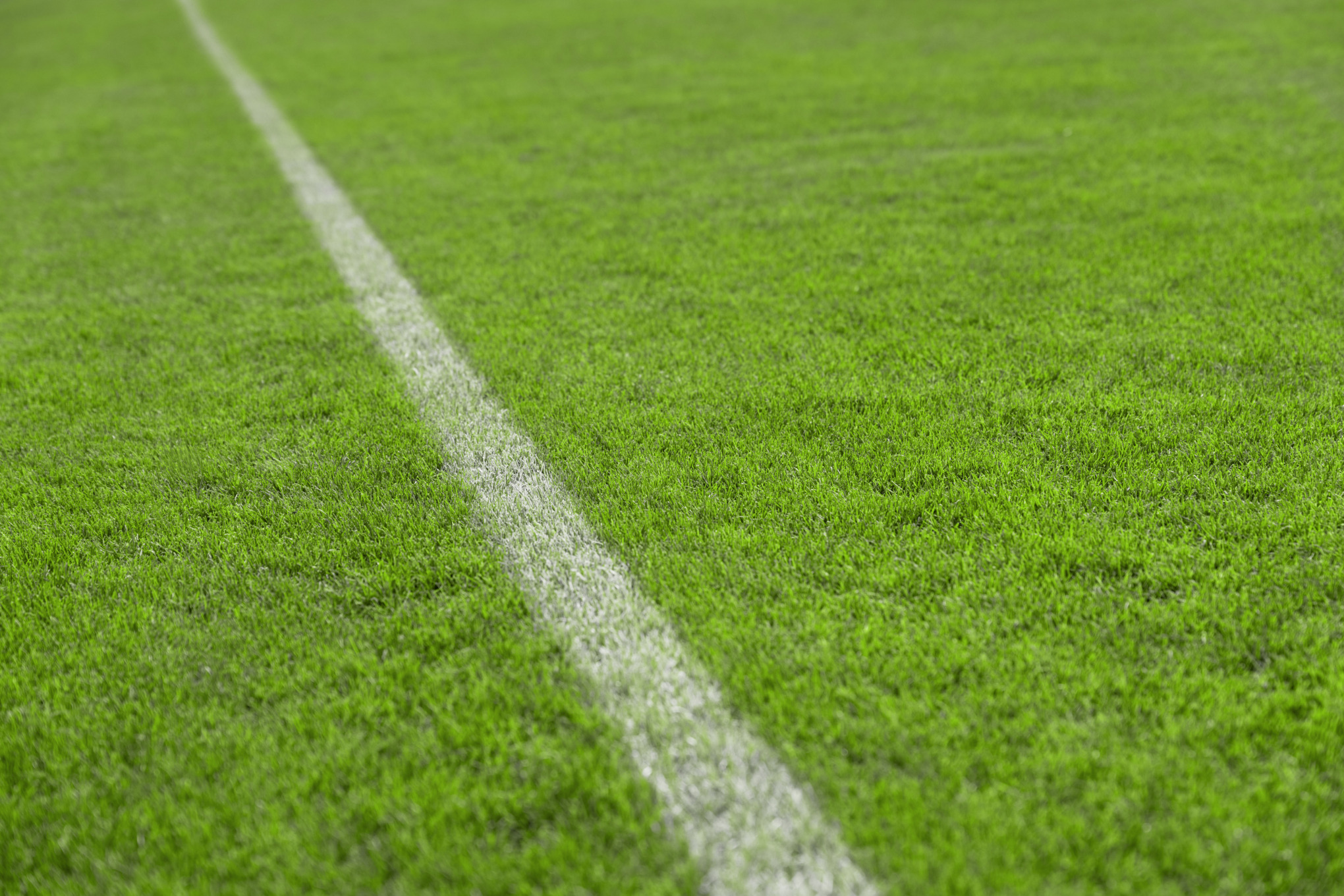 Krótko i równomiernie skoszony trawnik sportowy