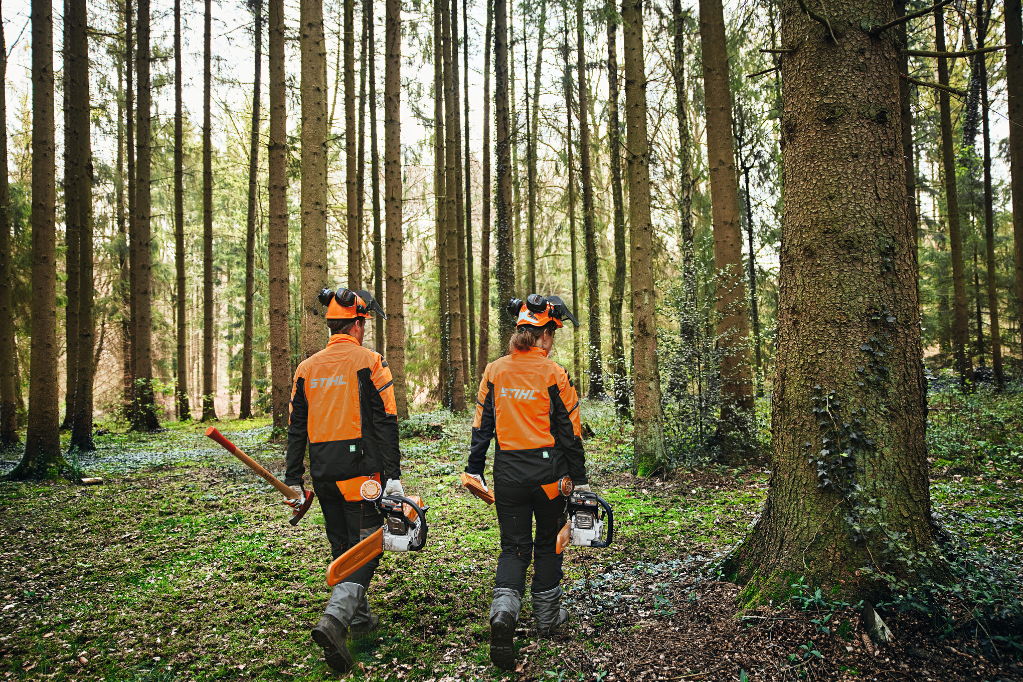 Mężczyzna okrzesujący przy użyciu akumulatorowej pilarki łańcuchowej STIHL MSA 190 T