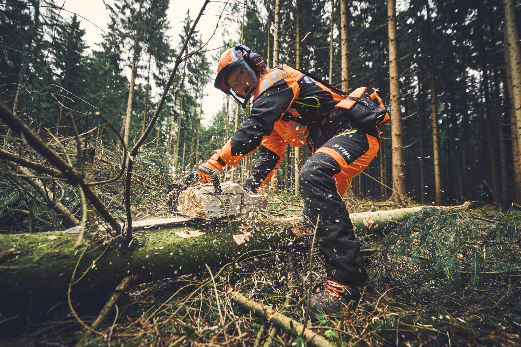 Pracownik leśny przy okrzesywaniu akumulatorową pilarką łańcuchową STIHL MSA 300 z pełnymi środkami ochrony osobistej do zastosowań w leśnictwie 