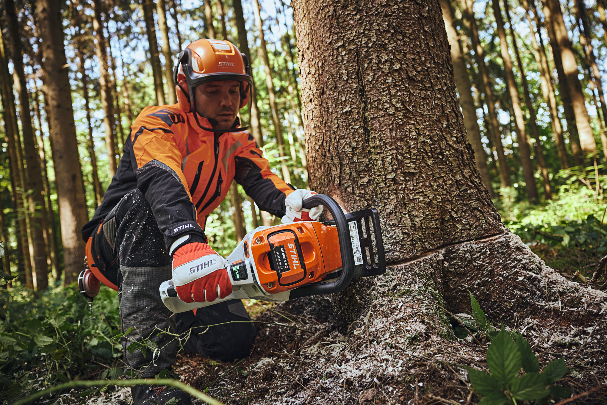 Mężczyzna w wyposażeniu ochronnym STIHL piłuje pień drzewa