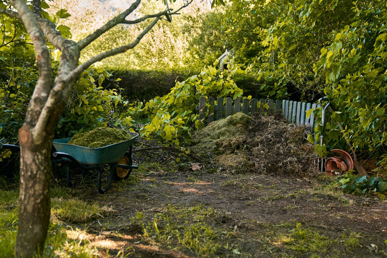 Open compost heaps in front of a green shrub, with a wheelbarrow and trees nearby