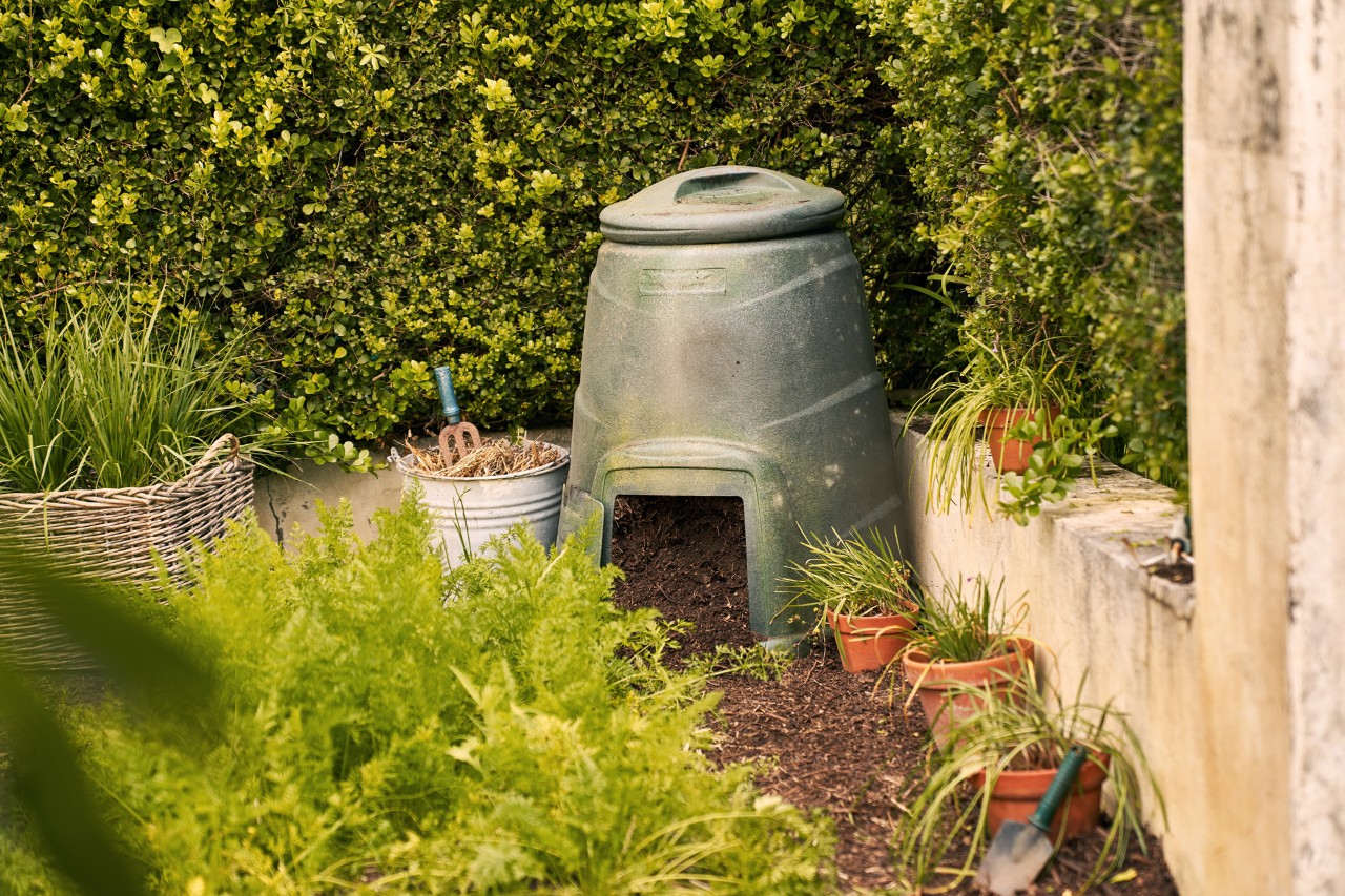 A plastic compost container in the corner of a green spot between pots and plants.