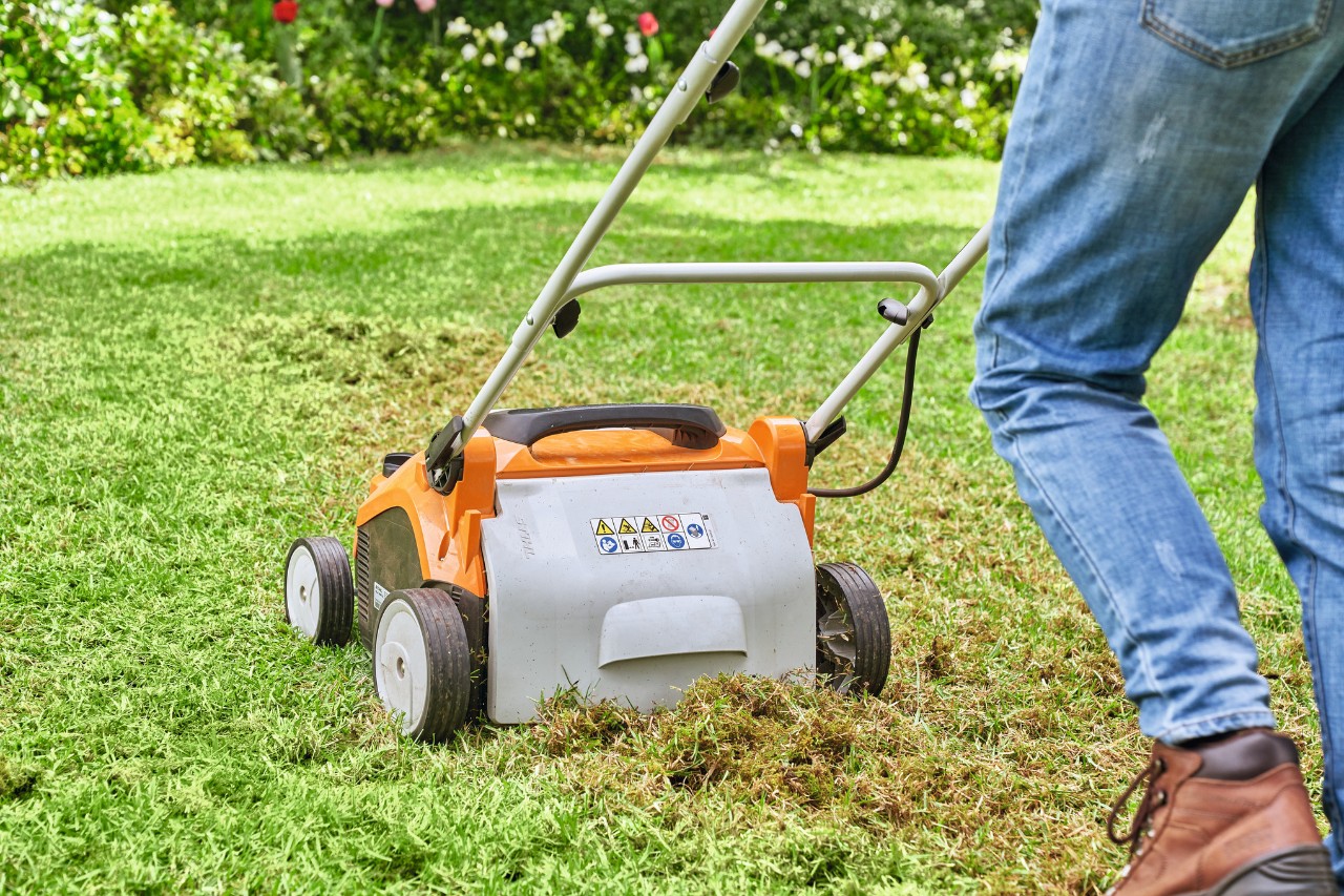 Osoba wertykuluje trawnik za pomocą akumulatorowego aeratora STIHL RLA 240 w celu jego odnowienia