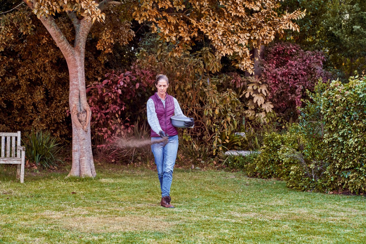 Frau behandelt den Rasen in ihrem Garten mit Herbstdünger