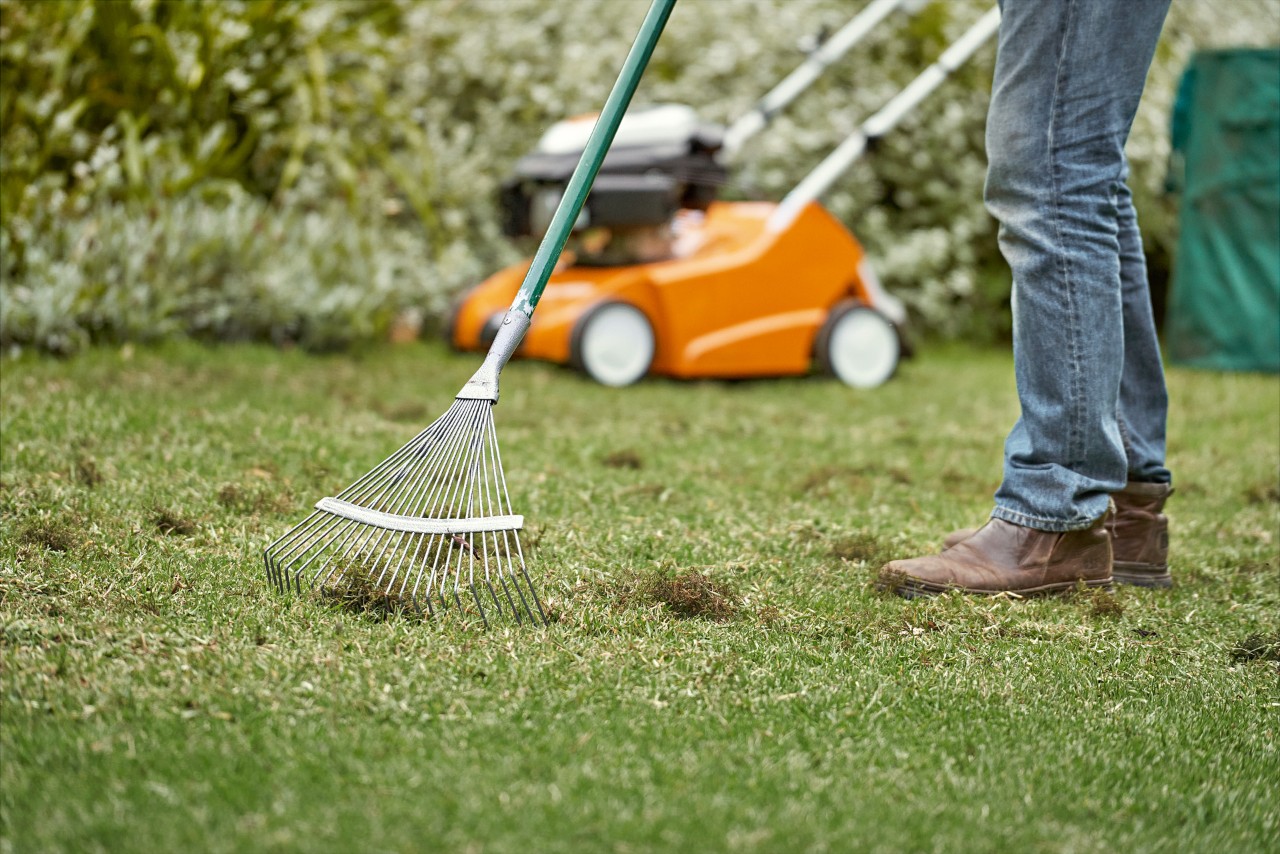 Usuwanie sfilcowanej trawy i mchu grabiami po wertykulacji – pielęgnacja trawnika z modelem STIHL RL 540