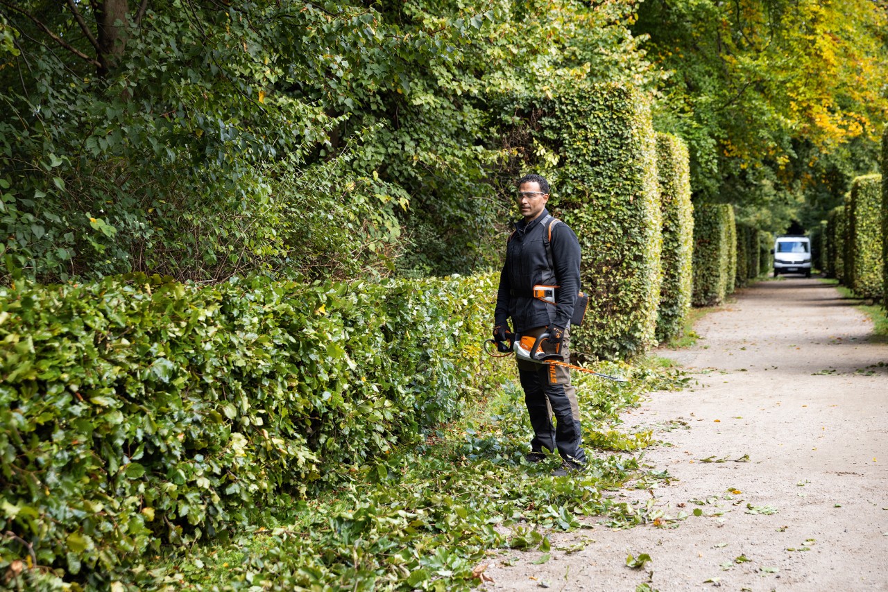 Mężczyzna w sprzęcie ochronnym STIHL z akumulatorowymi nożycami do żywopłotu STIHL HSA 26 stoi przy płaskim żywopłocie w parku