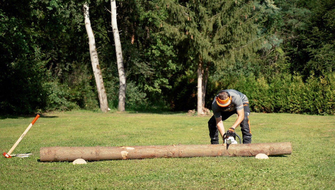 Osoba ubrana w sprzęt ochronny rozpoczyna cięcie pnia drzewa na drewno opałowe piłą łańcuchową STIHL