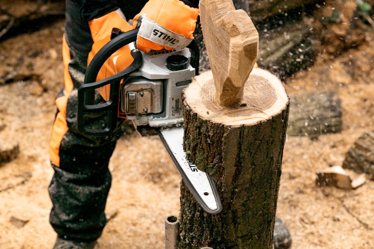  Drewniane serce wraz z podstawą jest oddzielane od reszty pnia za pomocą benzynowej pilarki łańcuchowej STIHL MS 170