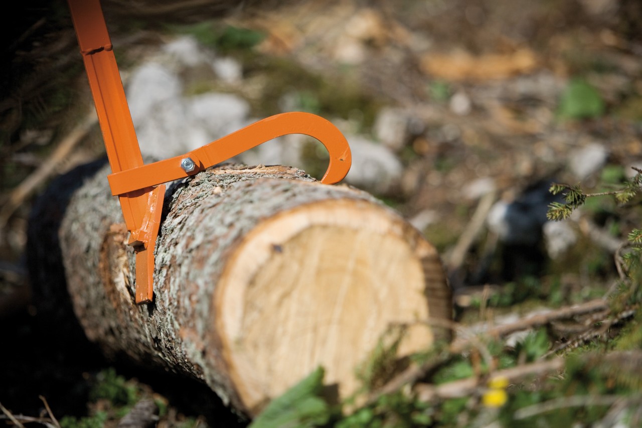 Dźwignia STIHL pozwala chwycić pień drzewa