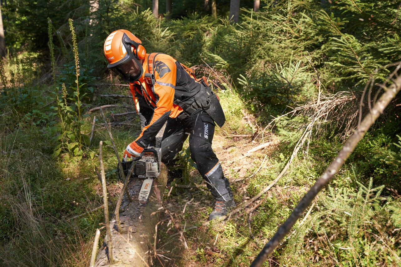 Pracownik w odzieży ochronnej z pilarką łańcuchową STIHL z prowadnicą Light 04 obrabia pień drzewa w lesie