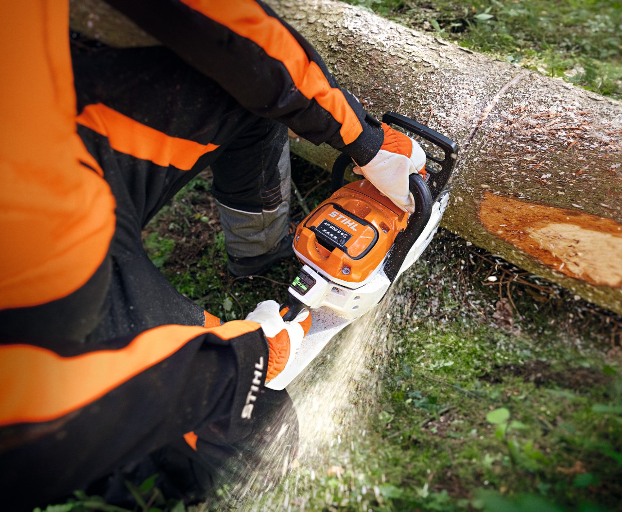 Zbliżenie na przecinanie pnia drzewa za pomocą akumulatorowej pilarki STIHL MSA 300