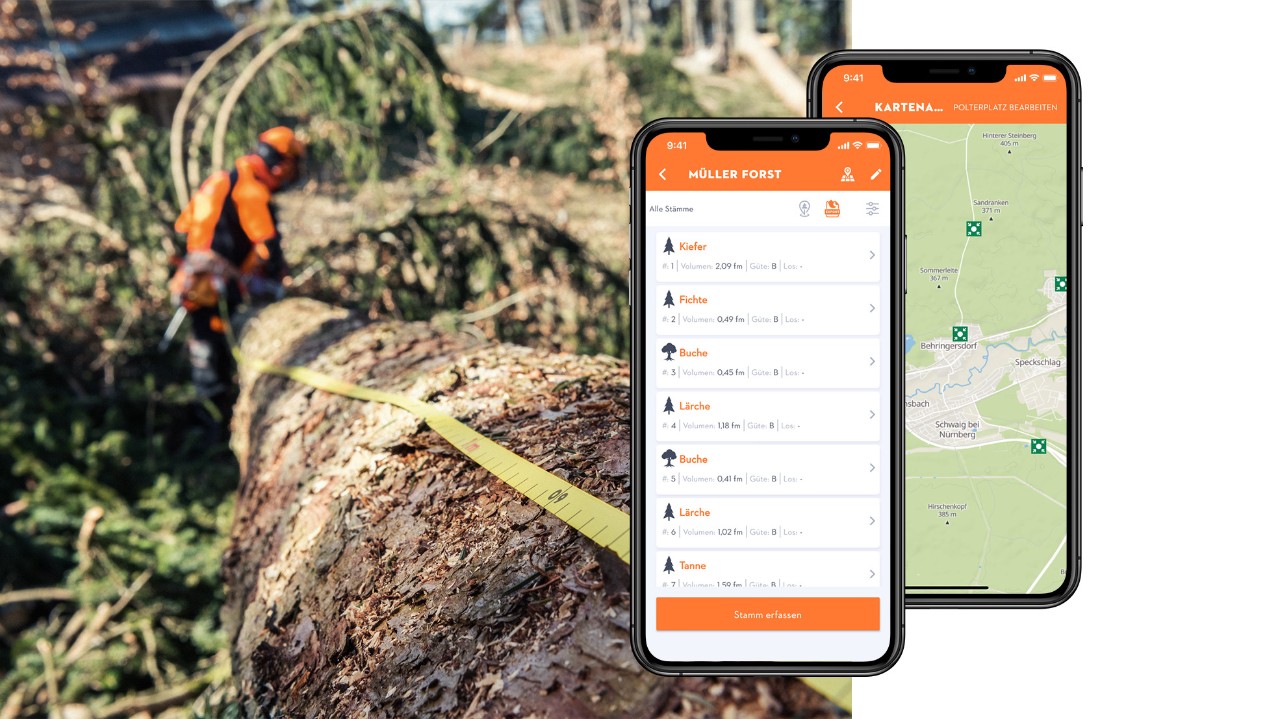 Kolaż z drzewkiem z taśmą mierniczą i wyświetlaczem smartfona z otwartą aplikacją STIHL Holzliste