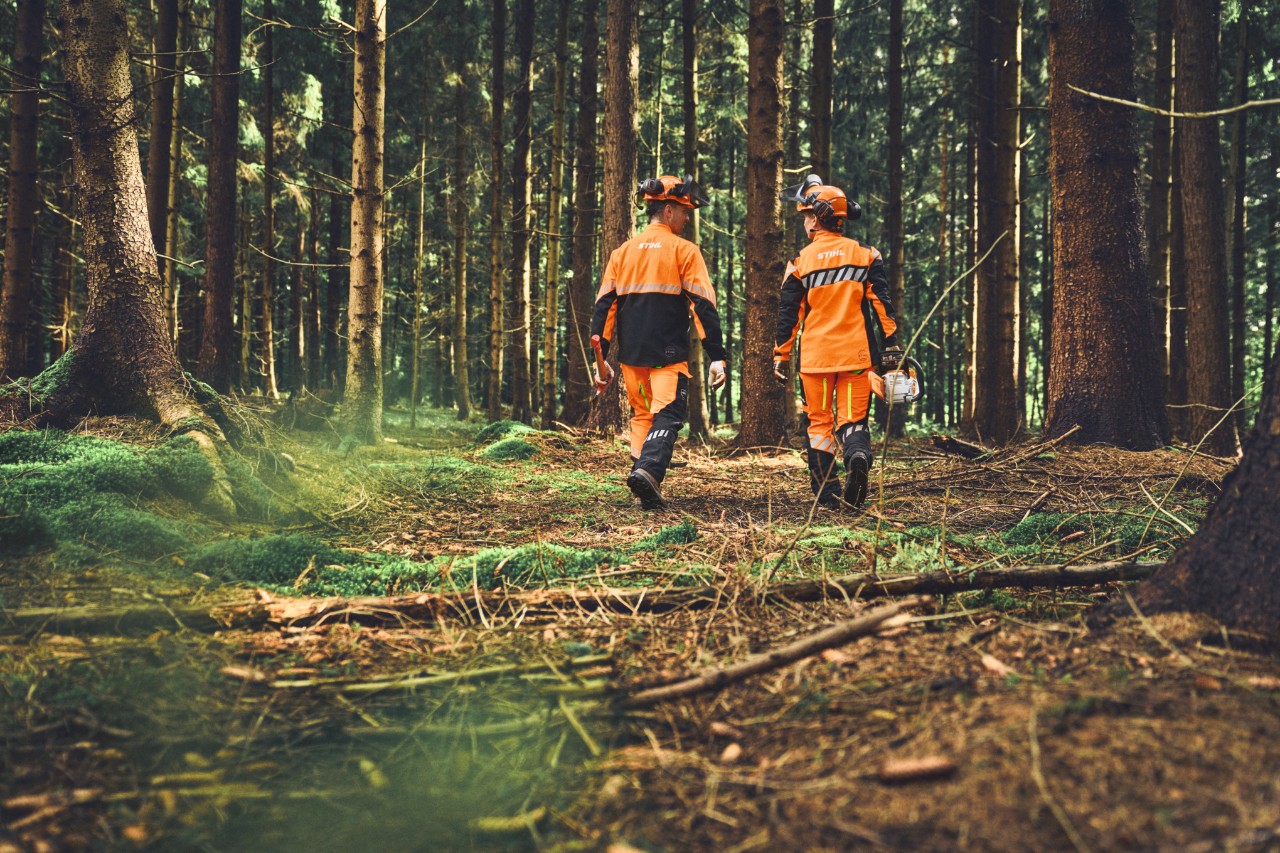 Widok z tyłu pracowników leśnych w swobodnej odzieży ochronnej STIHL