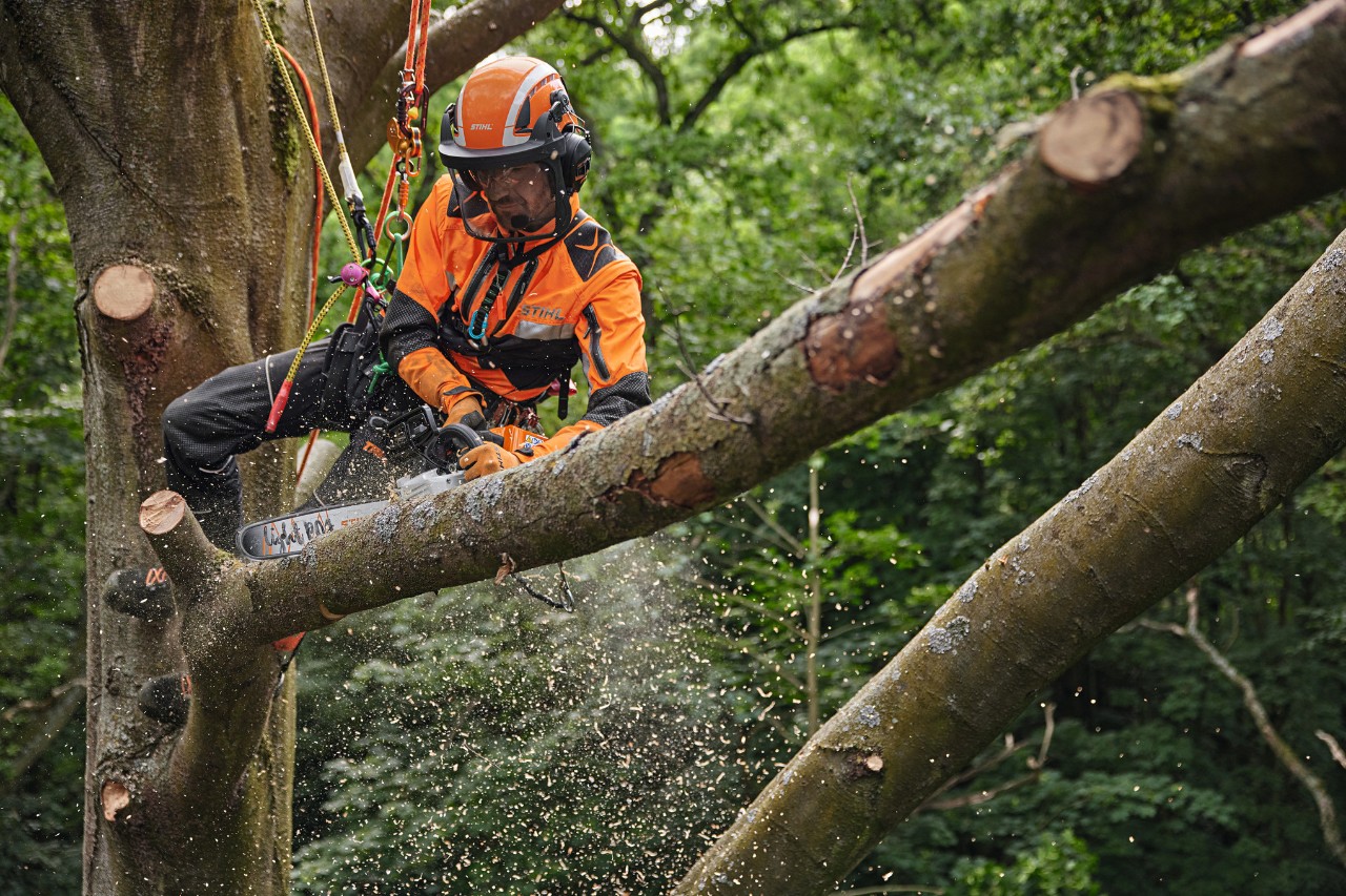 Ekspert od pielęgnacji drzew podczas pracy z akumulatorową pilarką STIHL MSA 220 TC-O w koronie drzewa, wyposażony w środki ochrony osobistej do zastosowań w leśnictwie