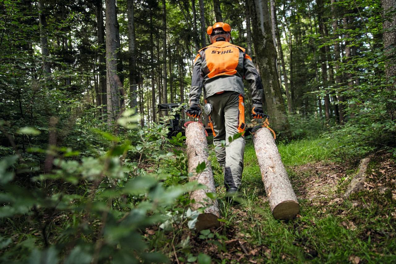 Pracownik leśnictwa ze środkami ochrony STIHL podczas transportu drewna leśną drogą