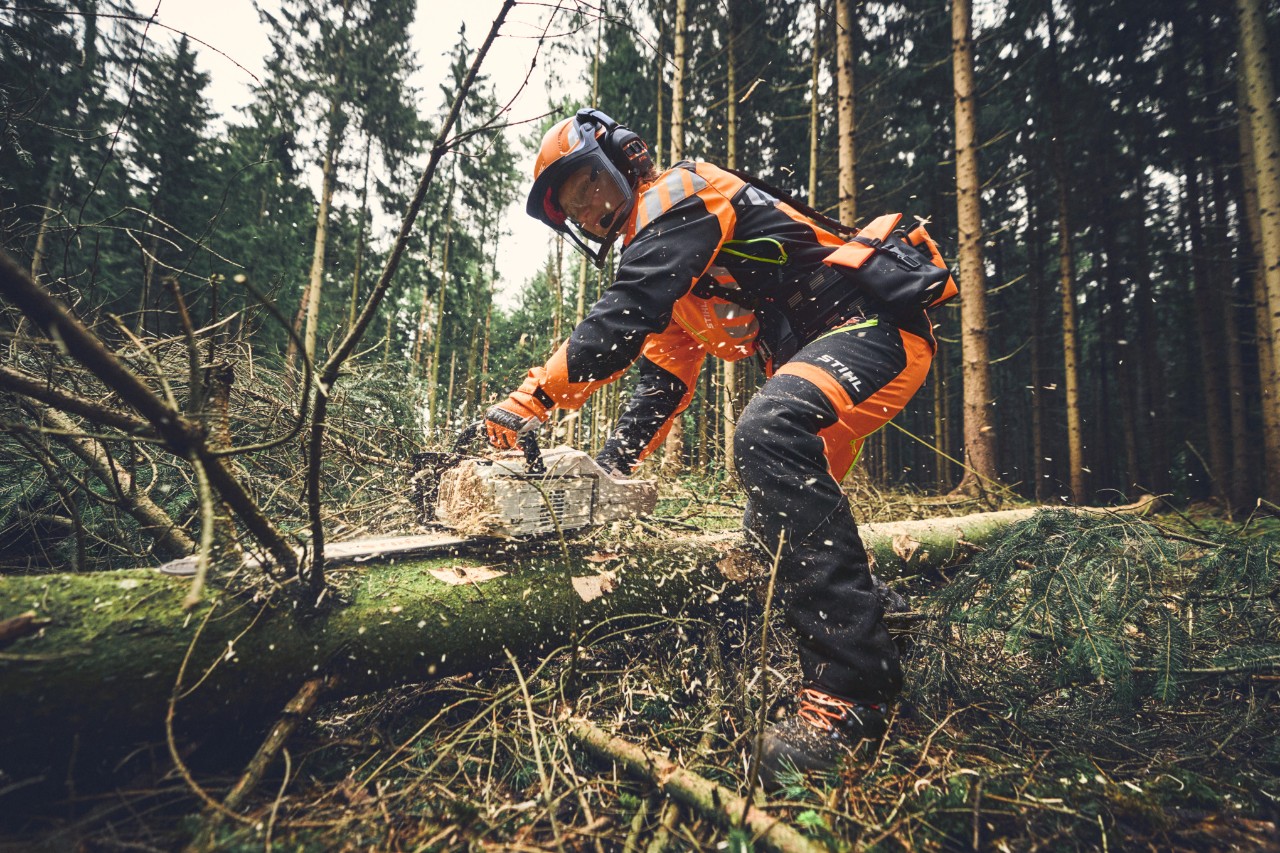 Pracownik leśny przy okrzesywaniu akumulatorową pilarką łańcuchową STIHL MSA 300 z pełnymi środkami ochrony osobistej do zastosowań w leśnictwie
