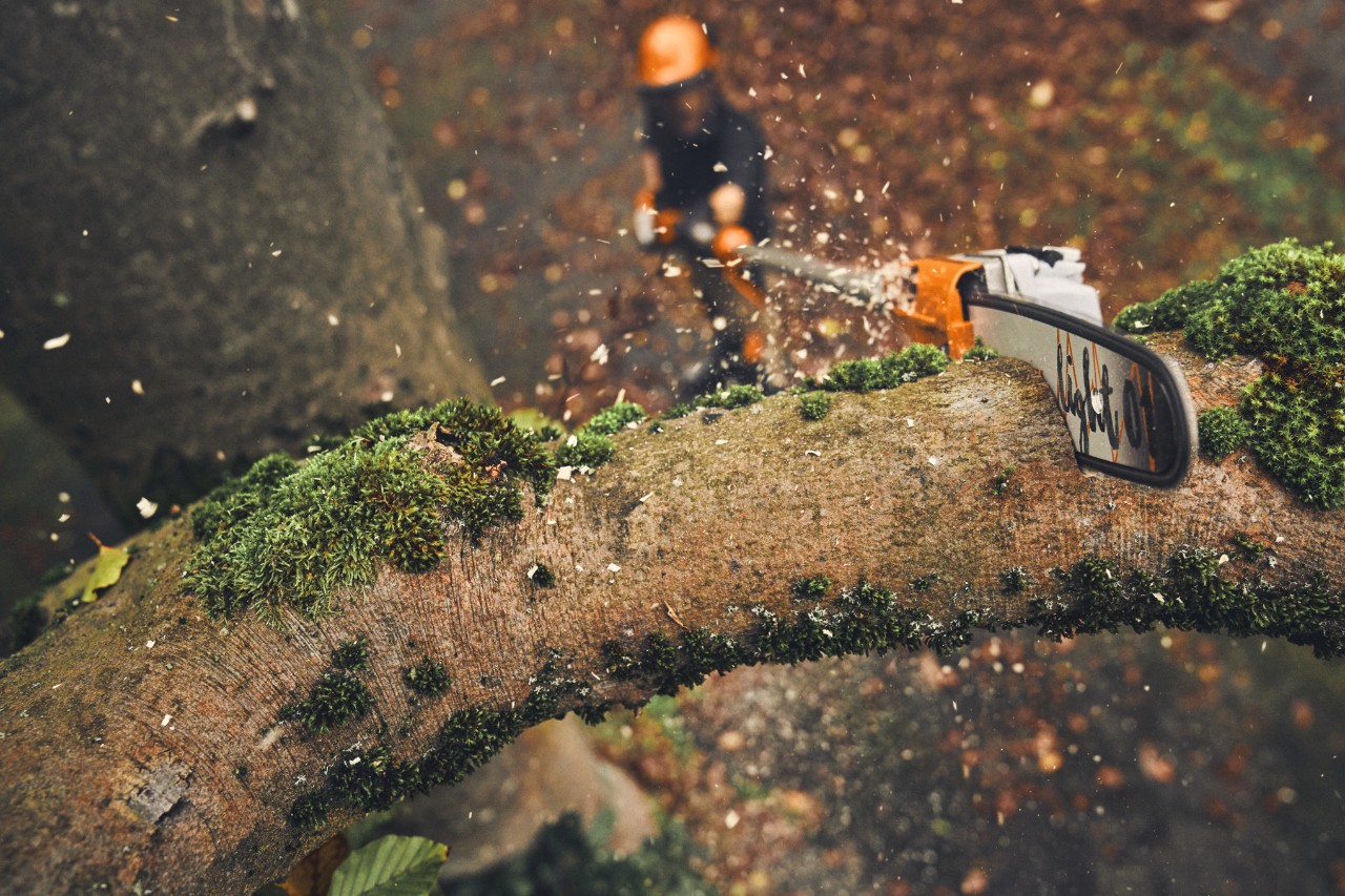 Mężczyzna ścinający gałęzie z drzewa za pomocą akumulatorowej podkrzesywarki STIHL HTA 160
